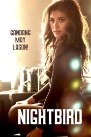 ดูหนังออนไลน์ฟรี Nightbird (2023) ไนท์เบิร์ด