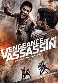 ดูหนังออนไลน์ฟรี Vengeance of an Assassin (2014) เร็วทะลุเร็ว